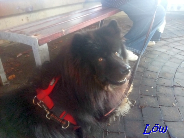 20.4.2025 - Tief Luft holen